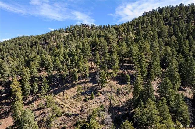 13126 Andiron Way Larkspur, CO 80118