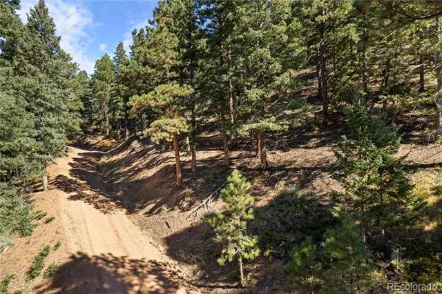13126 Andiron Way Larkspur, CO 80118