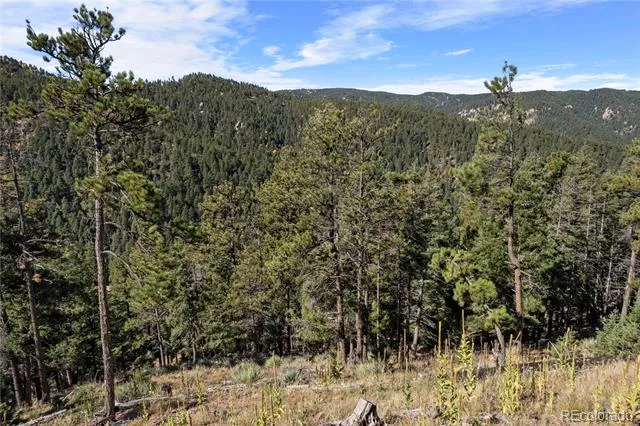 13126 Andiron Way Larkspur, CO 80118