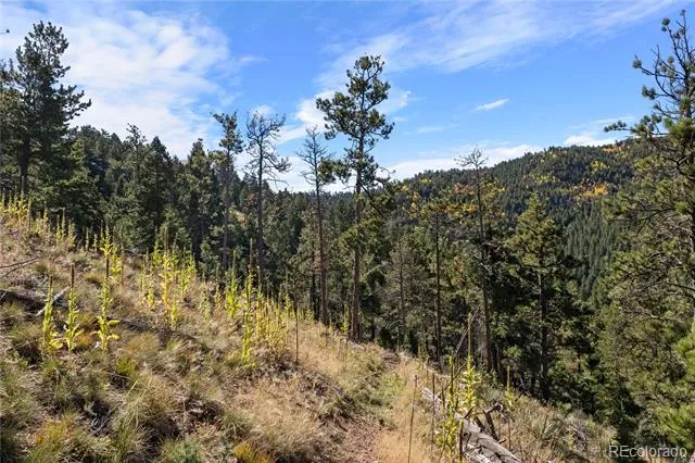 13126 Andiron Way Larkspur, CO 80118