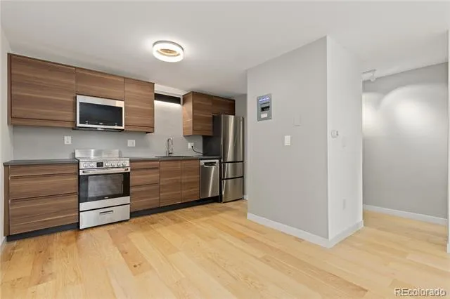 1008 Corona Street #303 Denver, CO 80218