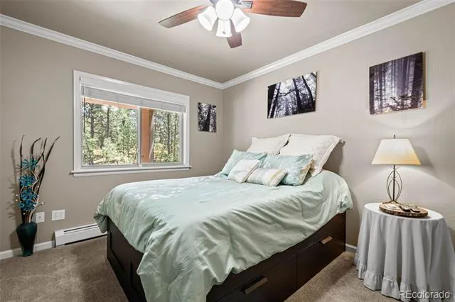 7524 Engineers Court Larkspur, CO 80118