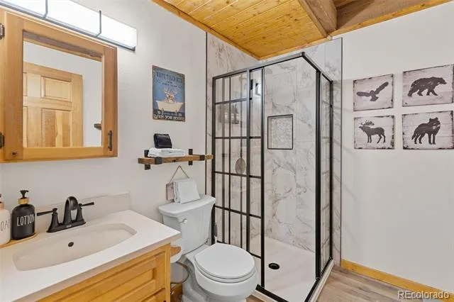 231 Kimmes Lane Breckenridge, CO 80424