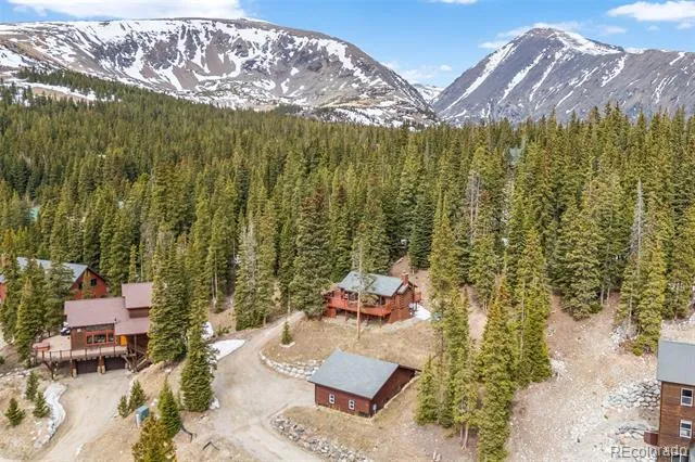 231 Kimmes Lane Breckenridge, CO 80424
