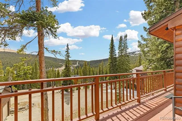 231 Kimmes Lane Breckenridge, CO 80424