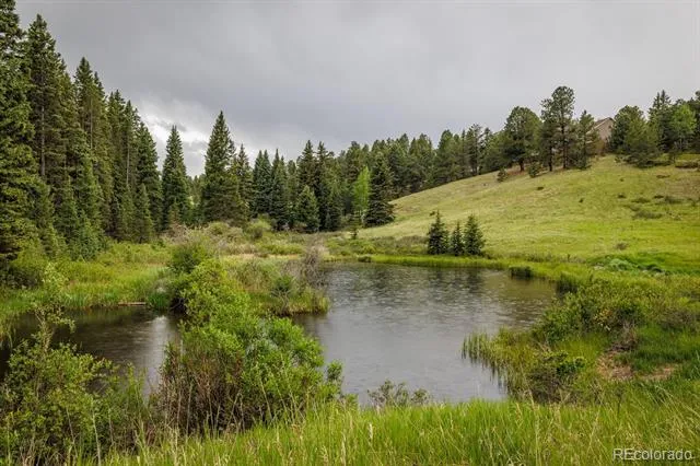 6100 Elk Valley Road Divide, CO 80814