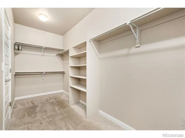 1483 Moraine Valley Drive Severance, CO 80550
