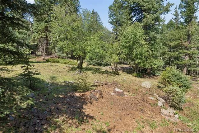 2667 Witter Gulch Road Evergreen, CO 80439