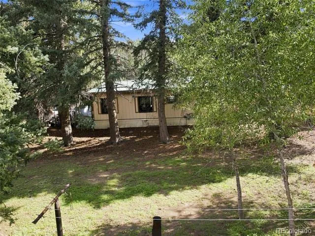 5099 County Road 64 Bailey, CO 80421