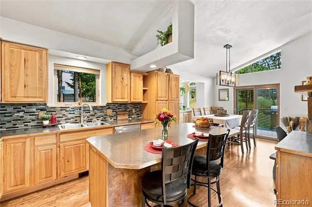9228 Black Mountain Drive Conifer, CO 80433