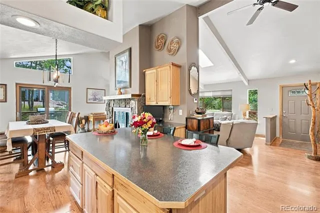 9228 Black Mountain Drive Conifer, CO 80433