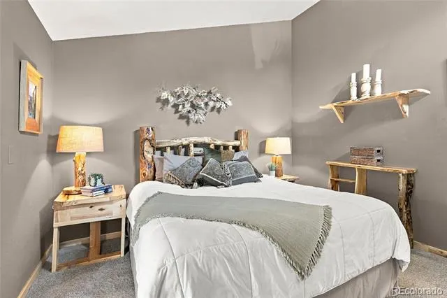 9228 Black Mountain Drive Conifer, CO 80433
