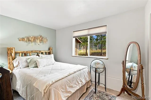 9228 Black Mountain Drive Conifer, CO 80433