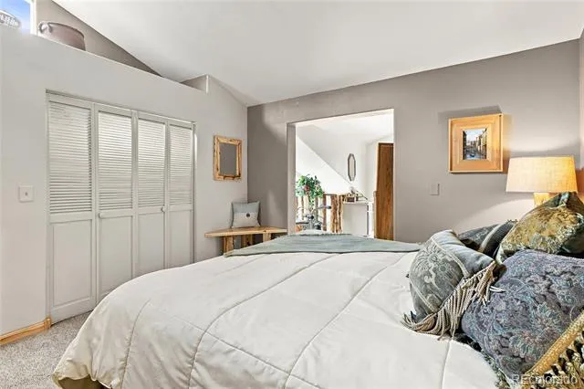 9228 Black Mountain Drive Conifer, CO 80433