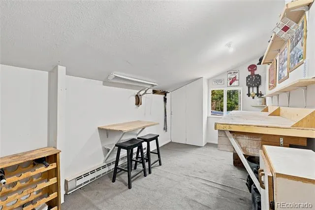 9228 Black Mountain Drive Conifer, CO 80433