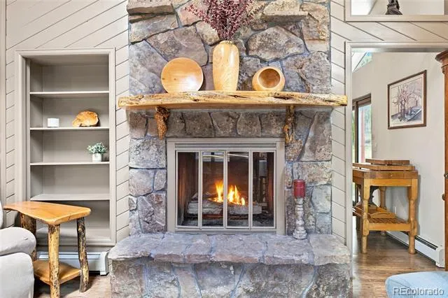 9228 Black Mountain Drive Conifer, CO 80433