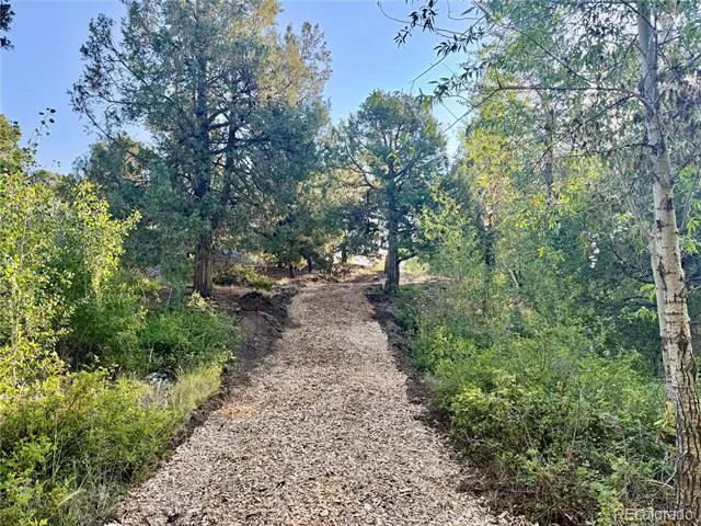 7005 County Road 221 Salida, CO 81201