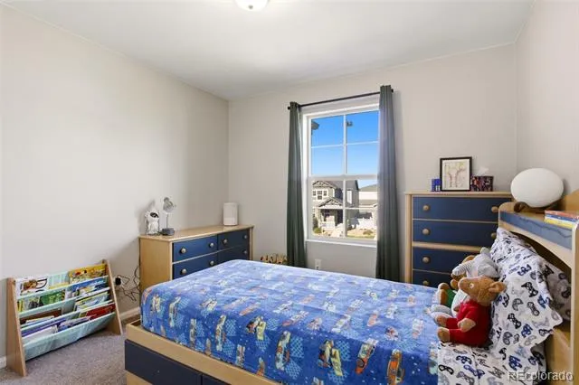 6567 Ceylon Street Denver, CO 80249