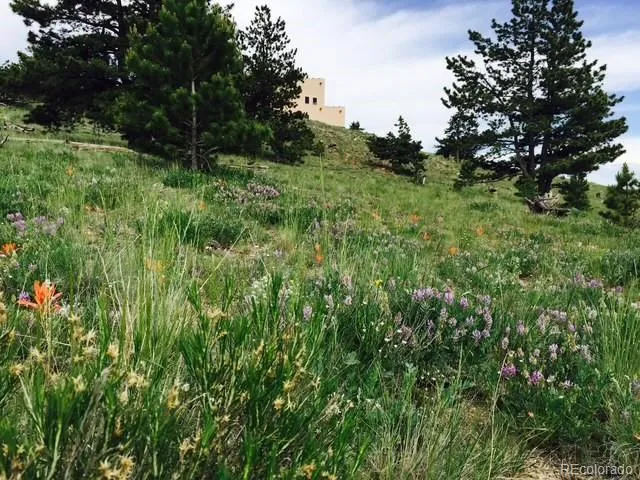 5675 Ranch Road Hartsel, CO 80449