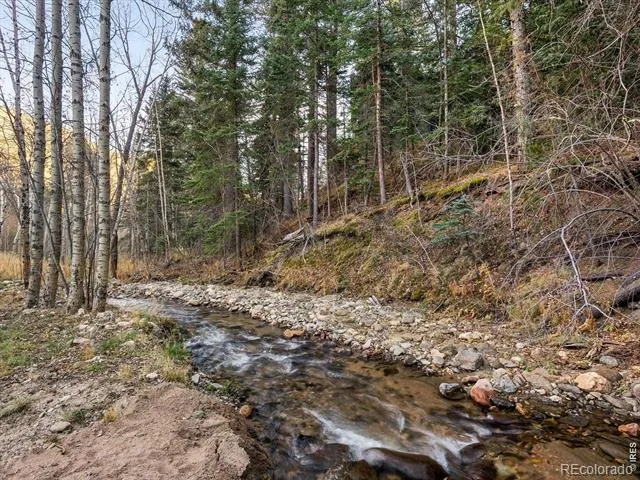 1035 Streamside Drive Drake, CO 80515