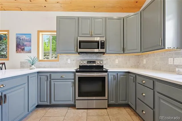 705 Gold Flake Terrace Bailey, CO 80421