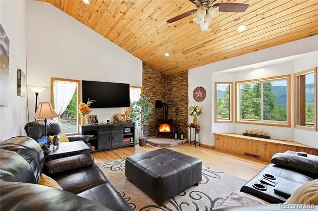 705 Gold Flake Terrace Bailey, CO 80421