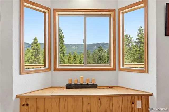 705 Gold Flake Terrace Bailey, CO 80421