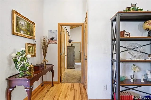 705 Gold Flake Terrace Bailey, CO 80421