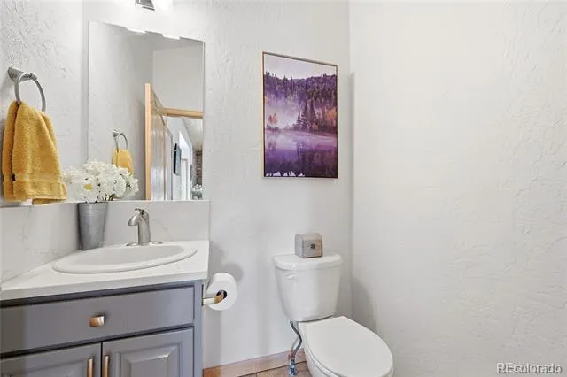 705 Gold Flake Terrace Bailey, CO 80421
