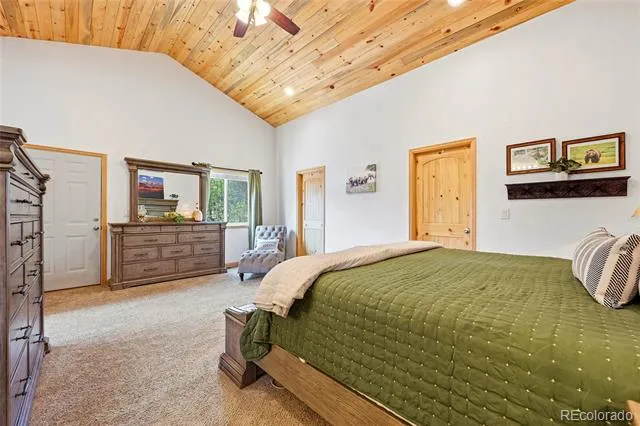 705 Gold Flake Terrace Bailey, CO 80421