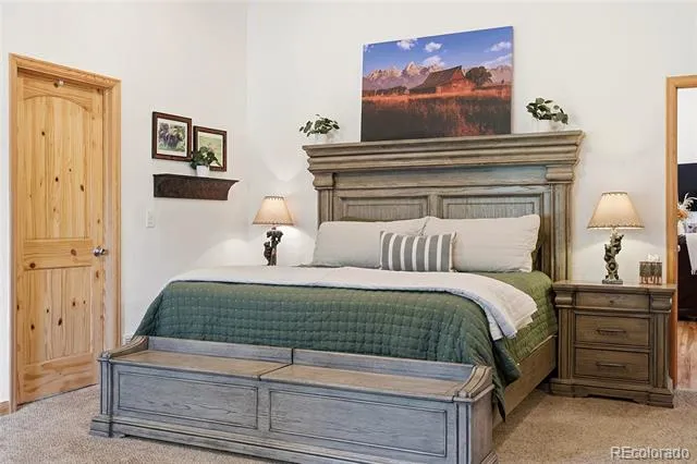 705 Gold Flake Terrace Bailey, CO 80421