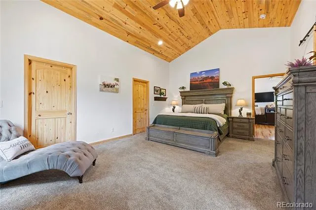 705 Gold Flake Terrace Bailey, CO 80421