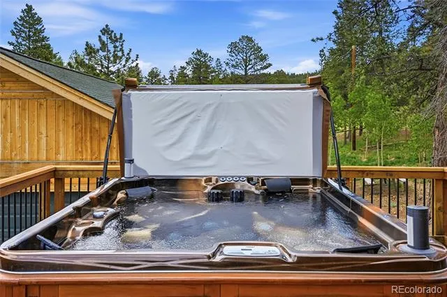 705 Gold Flake Terrace Bailey, CO 80421