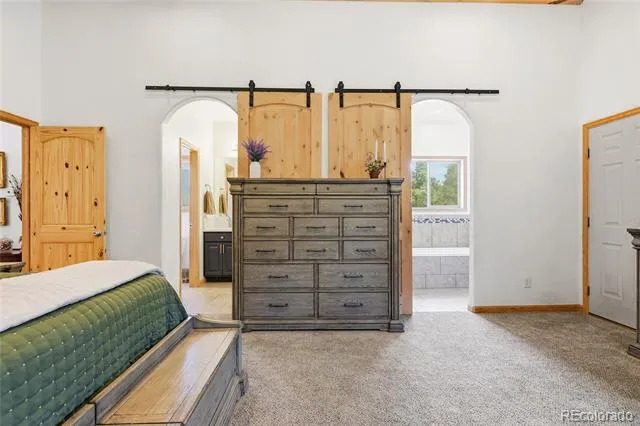 705 Gold Flake Terrace Bailey, CO 80421