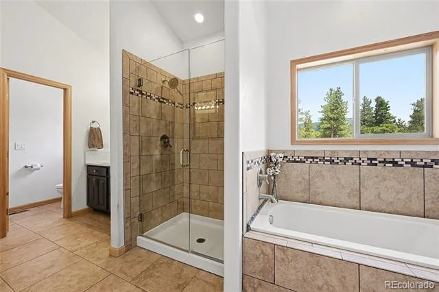 705 Gold Flake Terrace Bailey, CO 80421