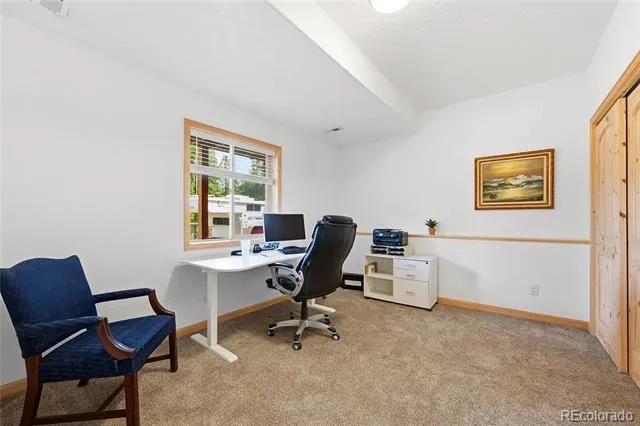 705 Gold Flake Terrace Bailey, CO 80421
