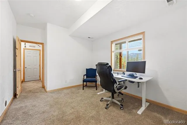 705 Gold Flake Terrace Bailey, CO 80421