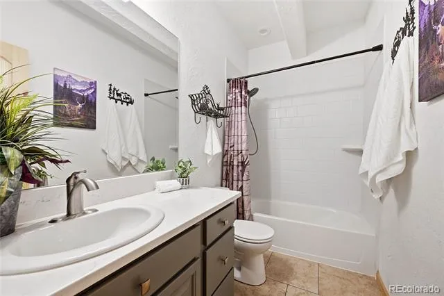 705 Gold Flake Terrace Bailey, CO 80421