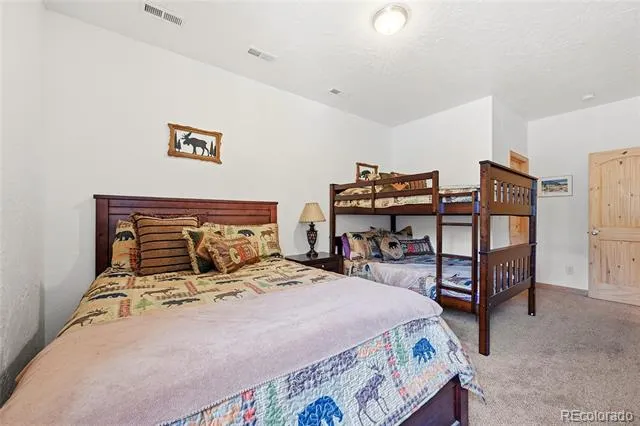 705 Gold Flake Terrace Bailey, CO 80421