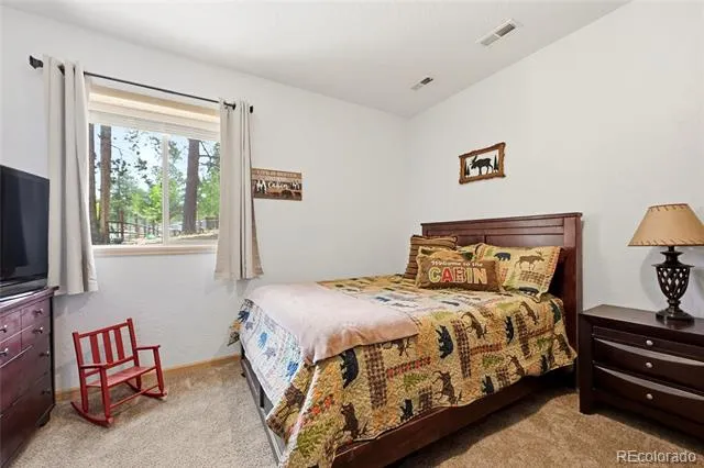 705 Gold Flake Terrace Bailey, CO 80421