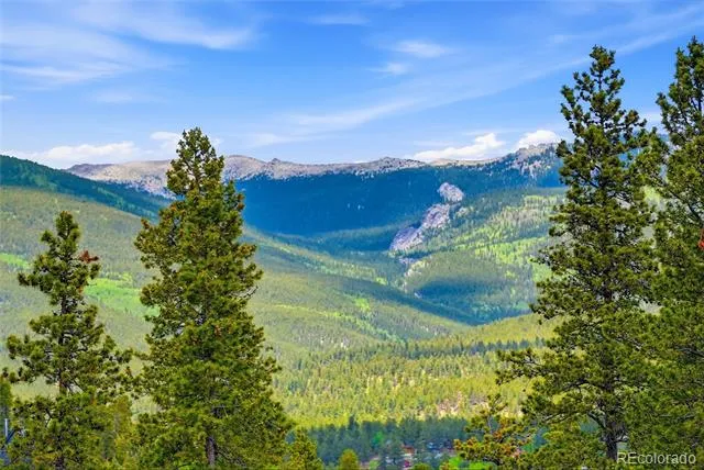 705 Gold Flake Terrace Bailey, CO 80421