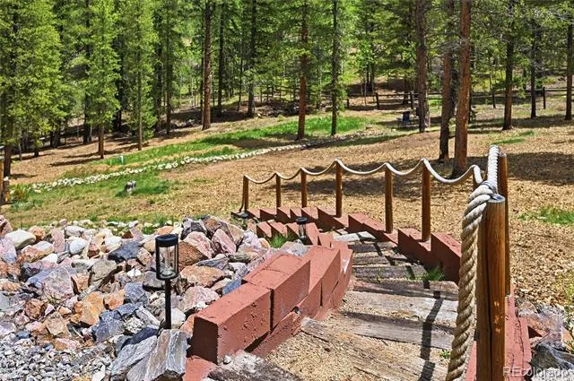 705 Gold Flake Terrace Bailey, CO 80421