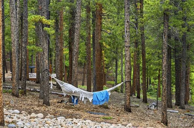 705 Gold Flake Terrace Bailey, CO 80421