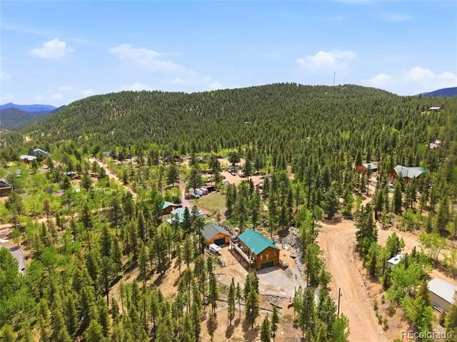 705 Gold Flake Terrace Bailey, CO 80421