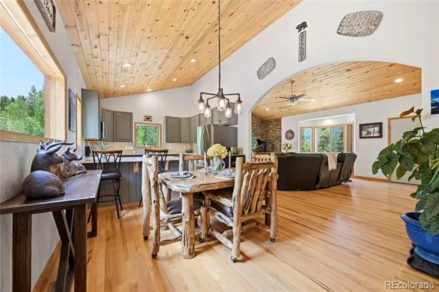 705 Gold Flake Terrace Bailey, CO 80421