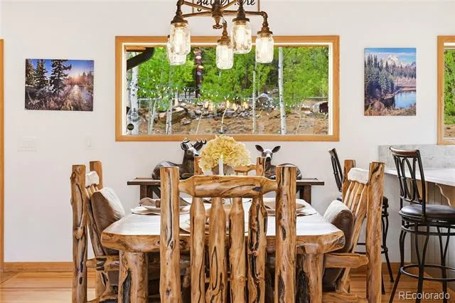 705 Gold Flake Terrace Bailey, CO 80421
