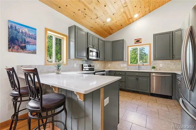 705 Gold Flake Terrace Bailey, CO 80421