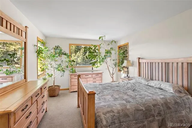 7153 Silverhorn Drive Evergreen, CO 80439
