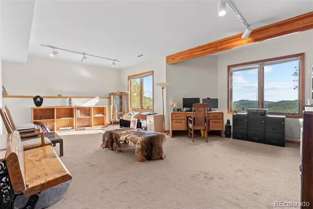 7153 Silverhorn Drive Evergreen, CO 80439