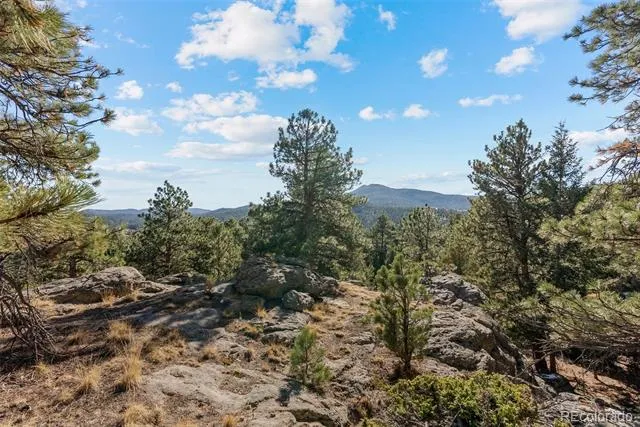 7153 Silverhorn Drive Evergreen, CO 80439